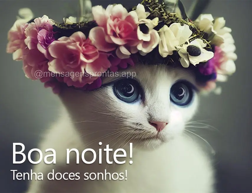 Tenha doces sonhos! Boa noite! 