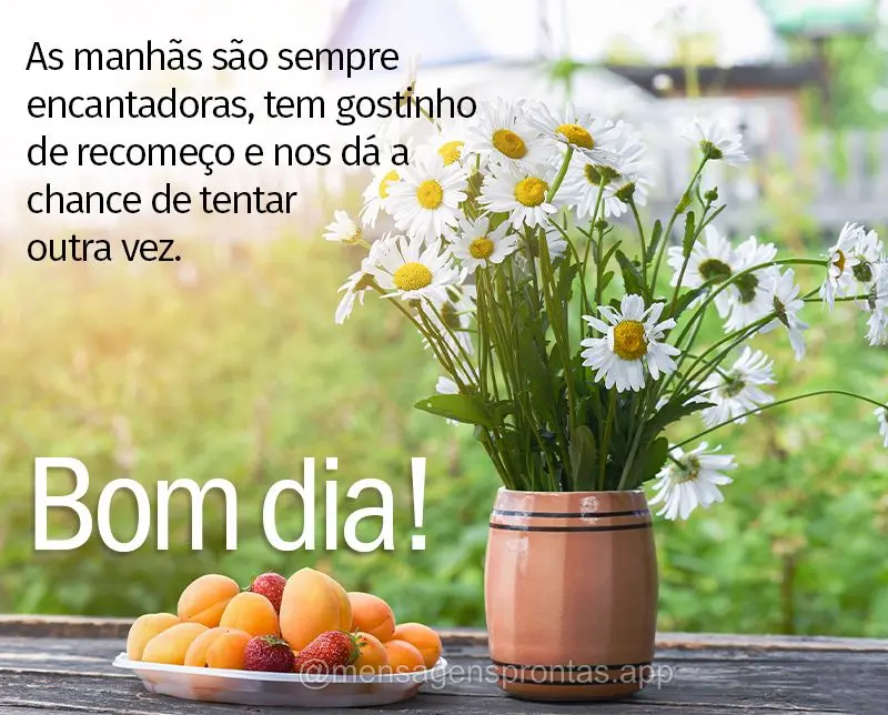 As manhãs são sempre encantadoras, tem gostinho de recomeço e nos dá a chance de tentar outra vez. Bom dia!