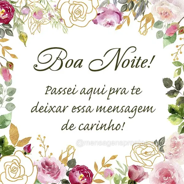 Passei aqui pra te deixar essa mensagem de carinho! Boa noite!