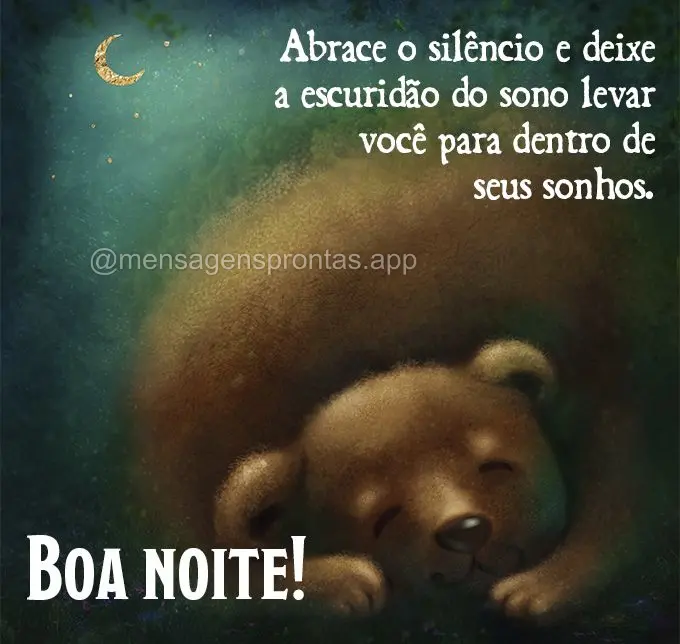 Abrace o silêncio e deixe a escuridão do sono levar você para dentro de seus sonhos. Boa noite!
