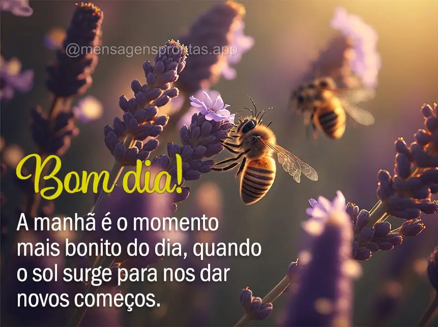 A manhã é o momento mais bonito do dia, quando o sol surge para nos dar novos começos. Bom dia!