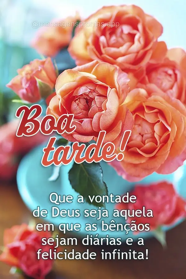 Que a vontade de Deus seja aquela em que as bênçãos sejam diárias e a felicidade infinita! Boa tarde!
