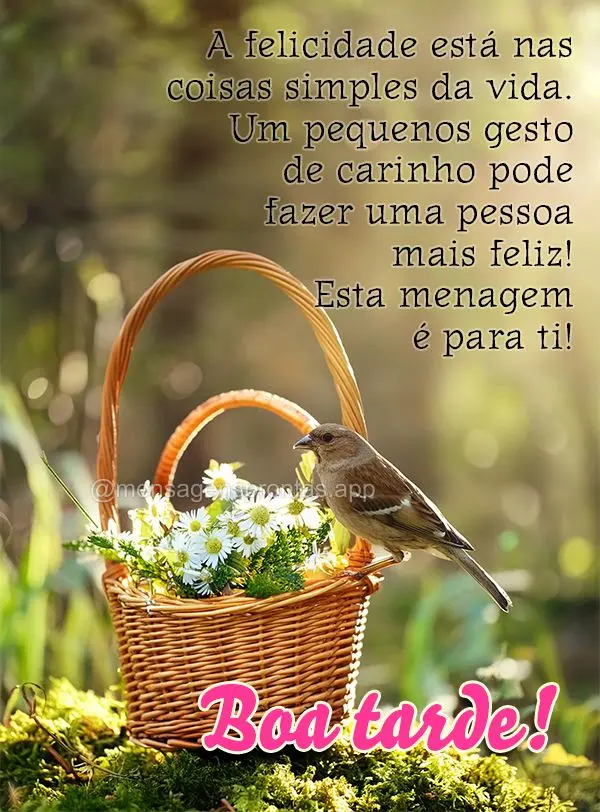 A felicidade está nas coisas simples da vida. Um pequenos gesto de carinho pode fazer uma pessoa mais feliz! Esta menagem é para ti! Boa tarde!