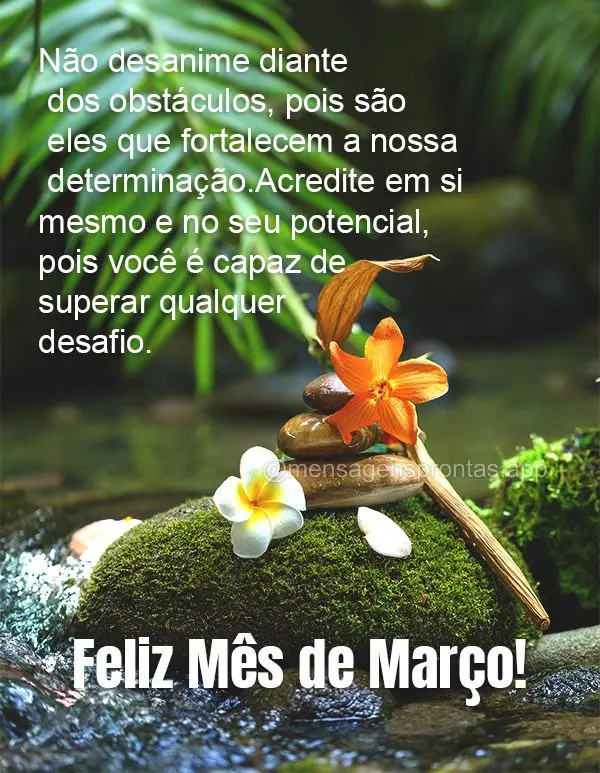 Não desanime diante dos obstáculos, pois são eles que fortalecem a nossa determinação. Acredite em si mesmo e no seu potencial, pois você é capaz ...