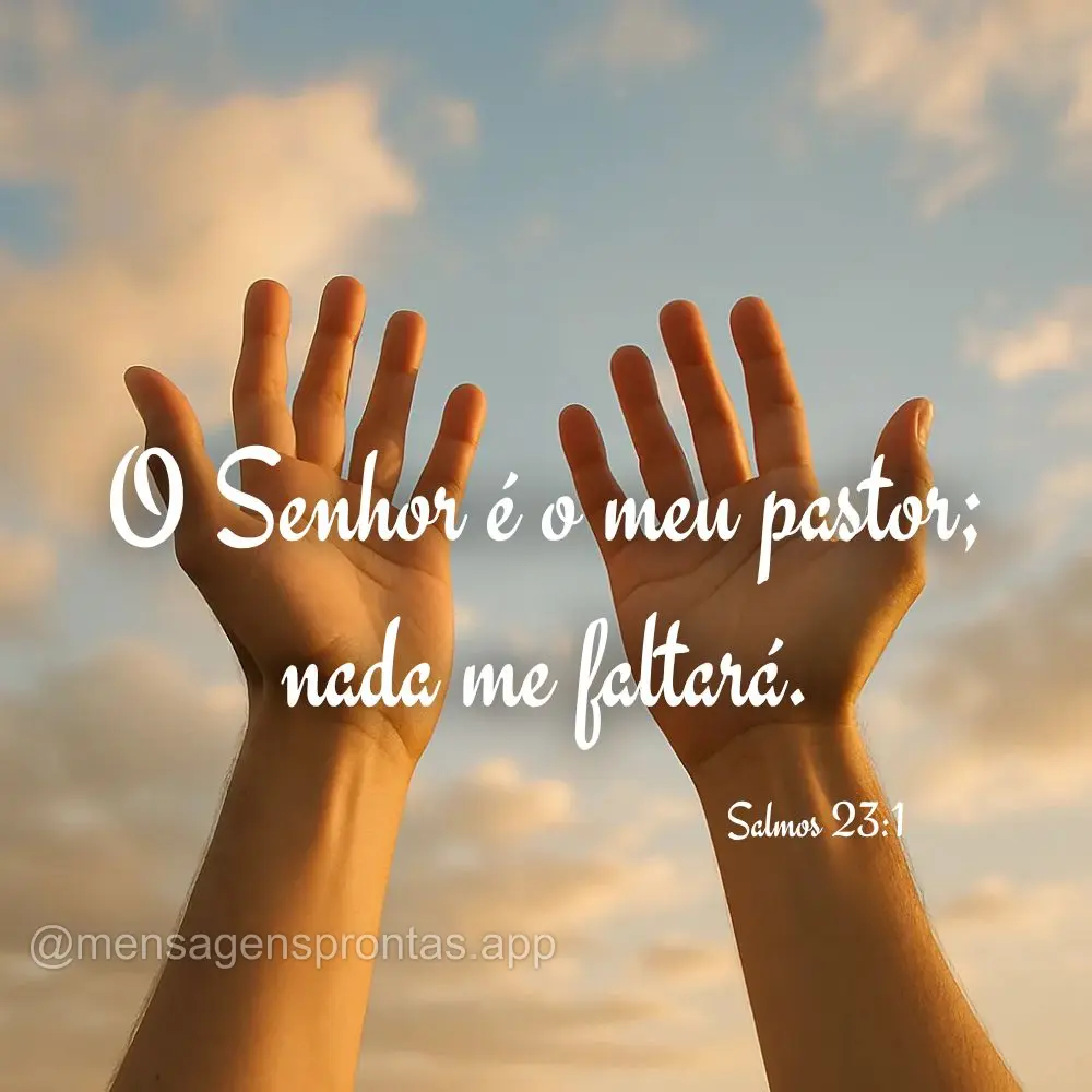 O Senhor é o meu pastor; 
nada me faltará. Salmos 23:1