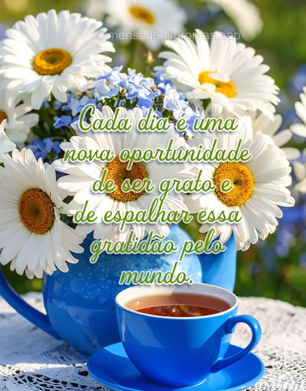 Cada dia é uma nova oportunidade de ser grato e de espalhar essa gratidão pelo mundo.