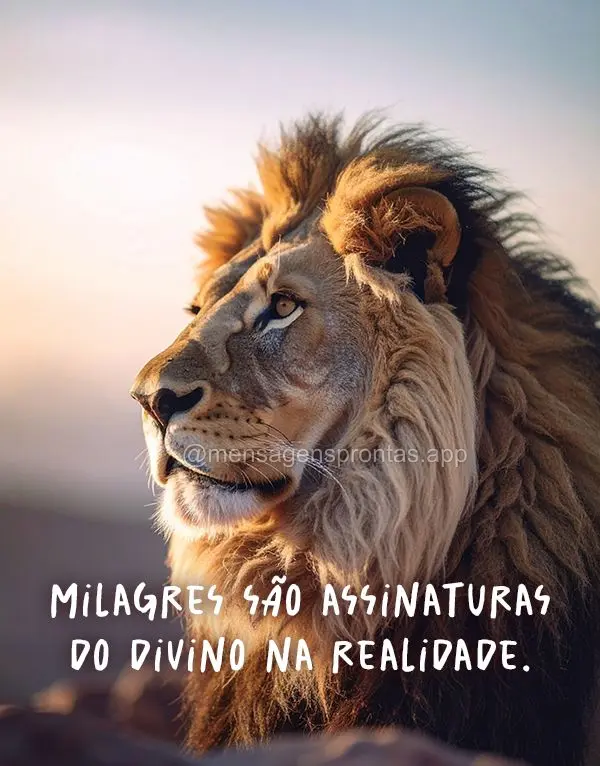 Milagres são assinaturas do divino na realidade.