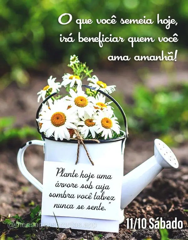 "Plante hoje uma árvore sob cuja sombra você talvez nunca se sente." O que você semeia hoje, irá beneficiar quem você ama amanhã! 11/10 Sábado