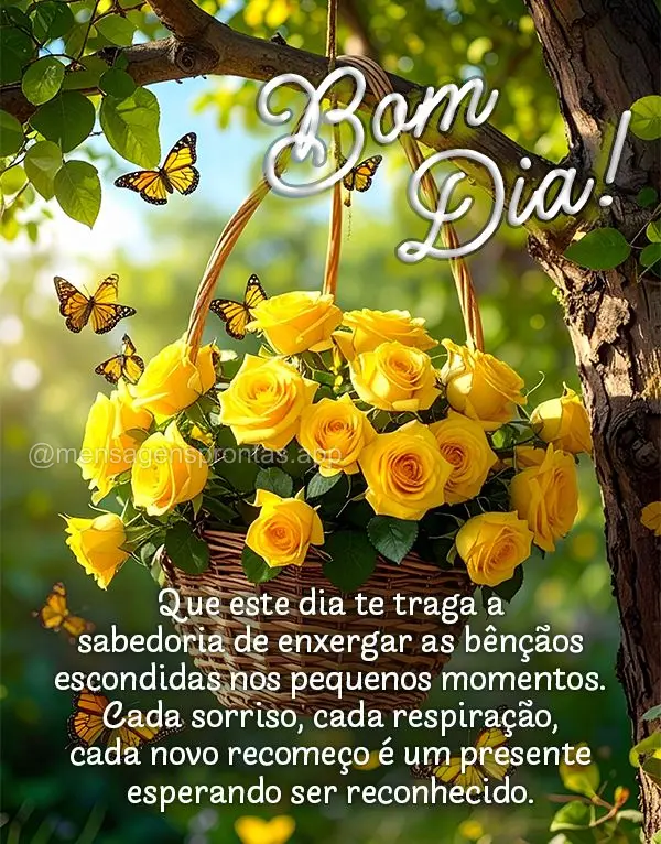 Que este dia te traga a sabedoria de enxergar as bênçãos escondidas nos pequenos momentos. Cada sorriso, cada respiração, cada novo recomeço é um ...