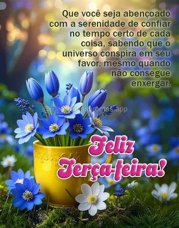 Que você seja abençoado com a serenidade de confiar no tempo certo de cada coisa, sabendo que o universo conspira em seu favor, mesmo quando não conse...