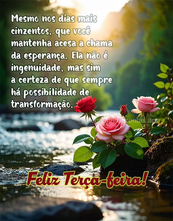 Mesmo nos dias mais cinzentos, que você mantenha acesa a chama da esperança. Ela não é ingenuidade, mas sim a certeza de que sempre há possibilidade...