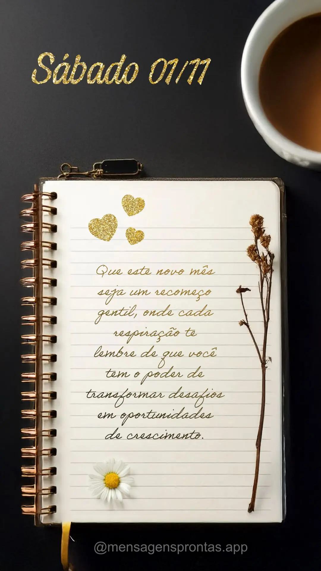 Que este novo mês seja um recomeço gentil, onde cada respiração te lembre de que você tem o poder de transformar desafios em oportunidades de cresci...