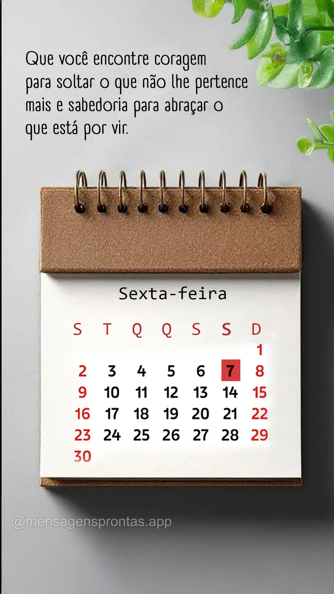 Que você encontre coragem para soltar o que não lhe pertence mais e sabedoria para abraçar o que está por vir. 07/11 Sexta-feira