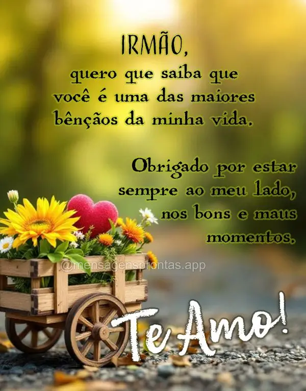 Irmão, quero que saiba que você é uma das maiores bênçãos da minha vida. Obrigado por estar sempre ao meu lado, nos bons e maus momentos. Te Amo!...