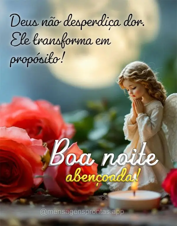 Deus não desperdiça dor. Ele transforma em propósito!