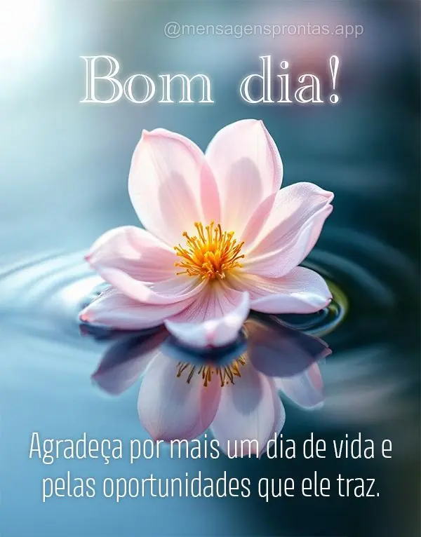 Agradeça por mais um dia de vida e pelas oportunidades que ele traz. Bom dia!