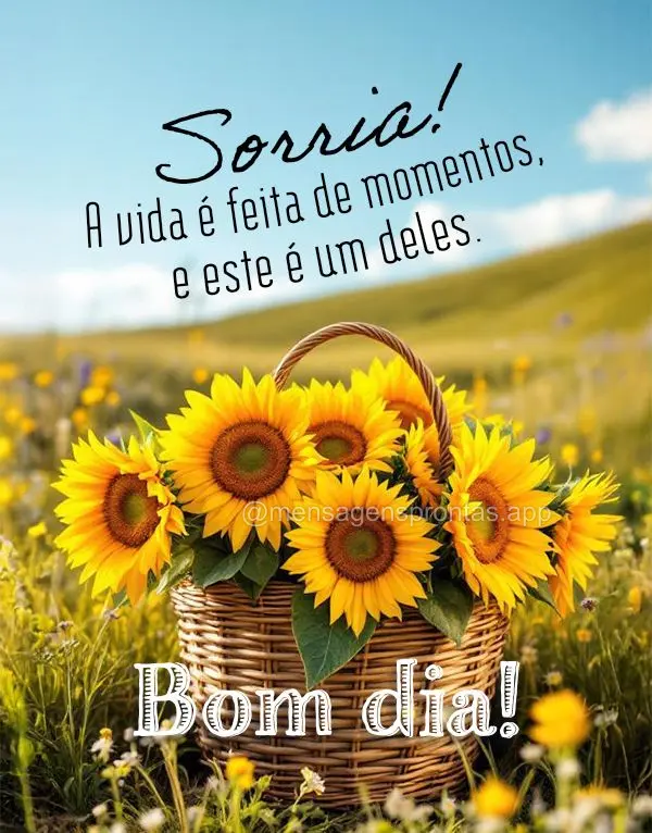 Sorria! A vida é feita de momentos, e este é um deles. Bom dia!