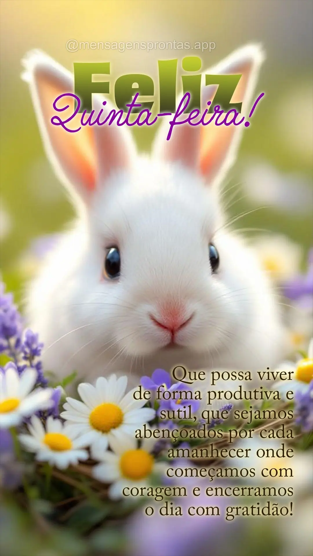 Que possa viver de forma produtiva e sutil, que sejamos abençoados por cada amanhecer onde começamos com coragem e encerramos o dia com gratidão! Feli...