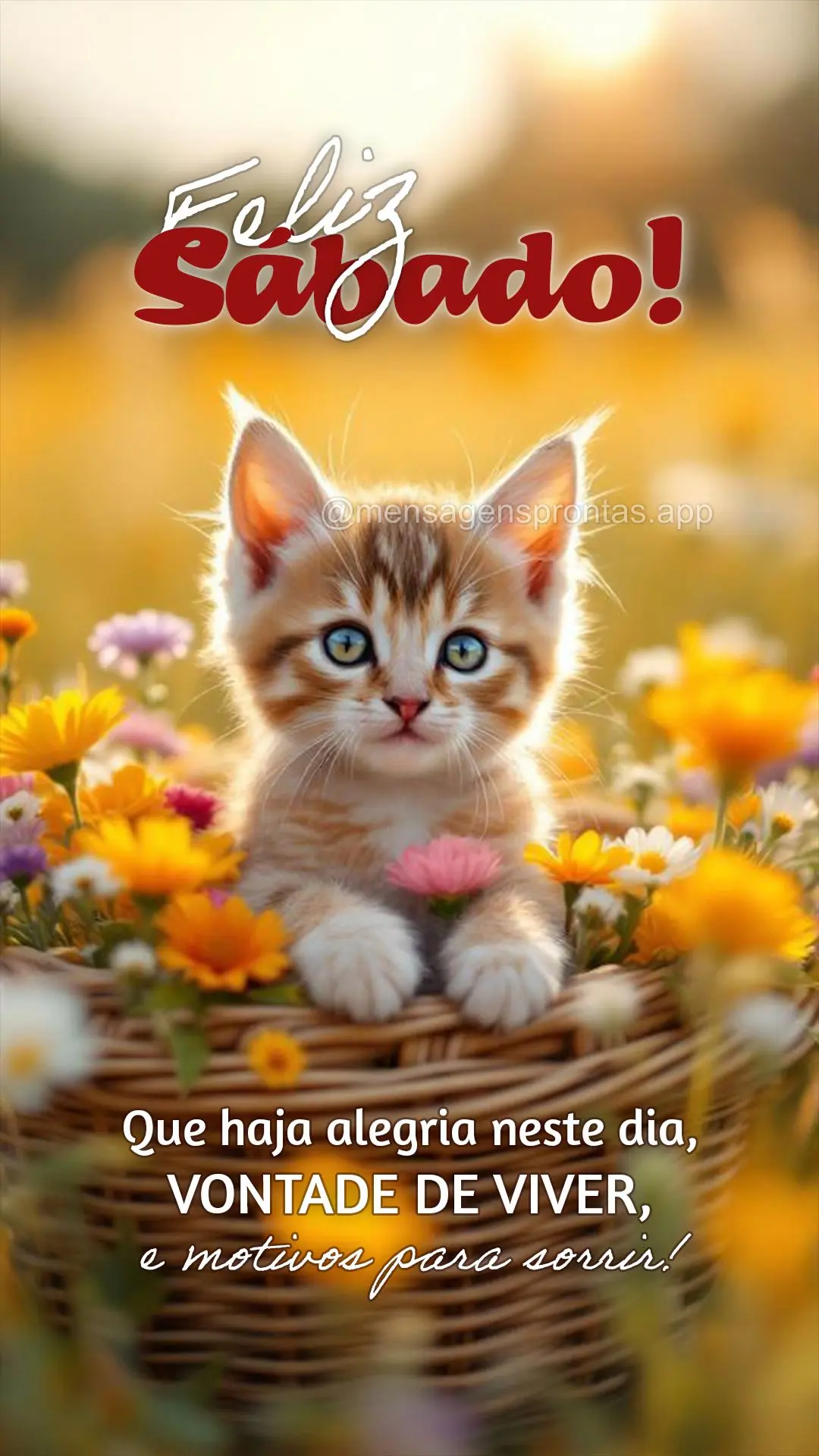 Que haja alegria neste dia, vontade de viver, e motivos para sorrir! Feliz Sábado!