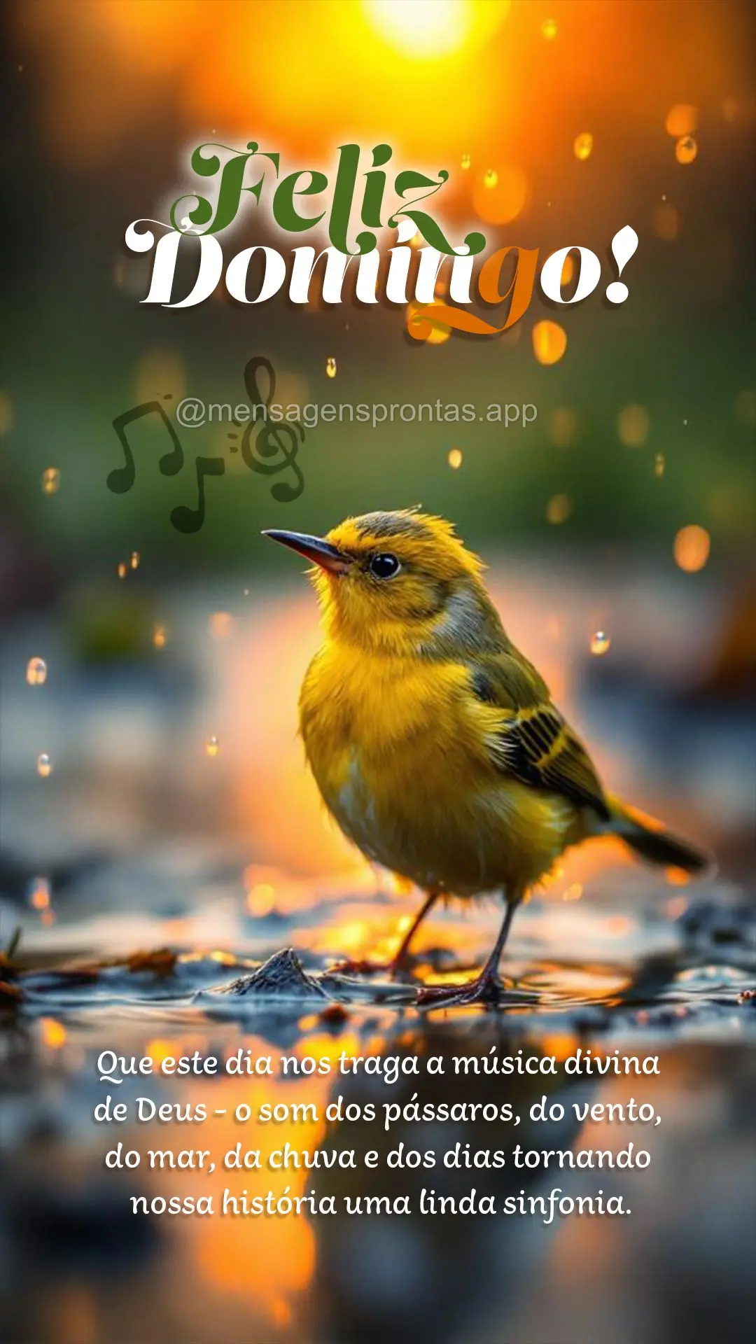 Que este dia nos traga a música divina de Deus, o som dos pássaros, do vento, do mar, da chuva e dos dias tornando nossa história uma linda sinfonia. ...