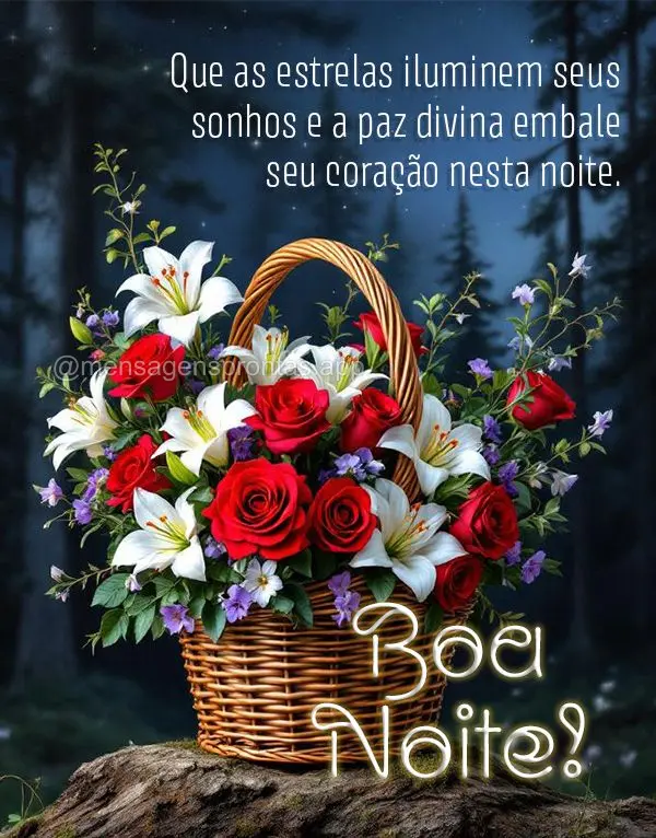 Que as estrelas iluminem seus sonhos e a paz divina embale seu coração nesta noite. Descanse bem, você é muito especial. Boa noite!